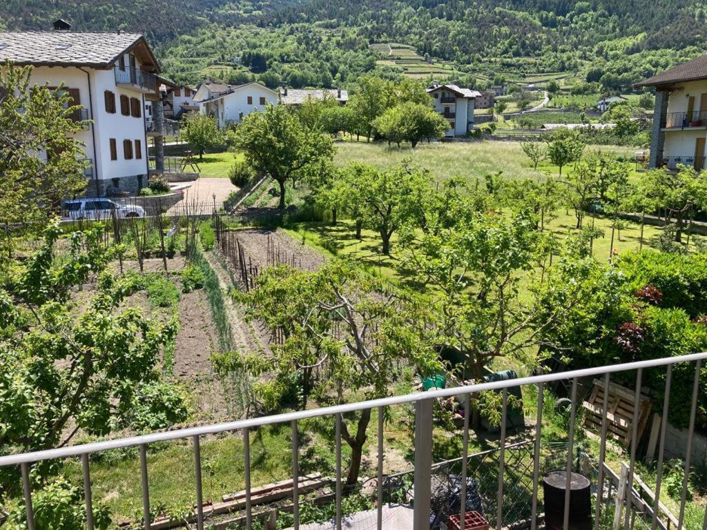Apartment Arcobaleno Plattaz Cir 0024 *